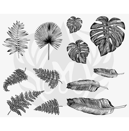 Tropical Leaves