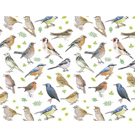 S�ngf�glar 70x50cm