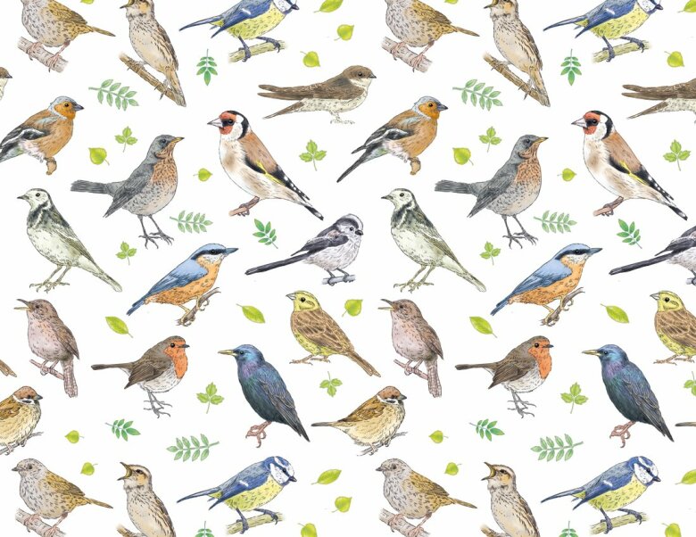 S�ngf�glar 70x50cm