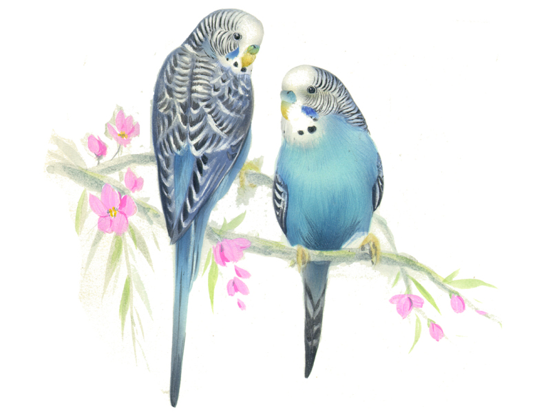 Undulater bl� - 75 mm