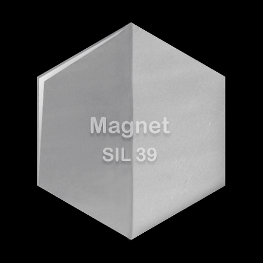 Magnet