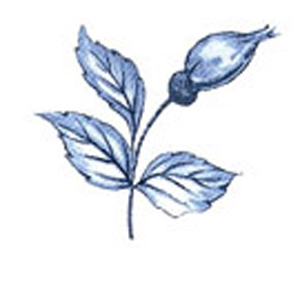 Bl� ros - 35 mm - 12 st. 