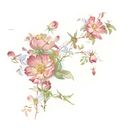 Spretande Ros - 110 x 70 mm - 1 st.