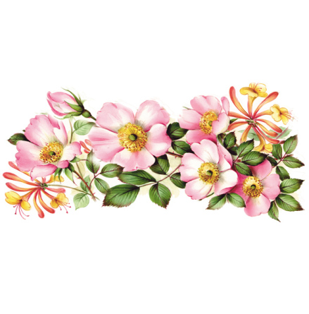 Kaprifol - mugg 9 x 19 cm