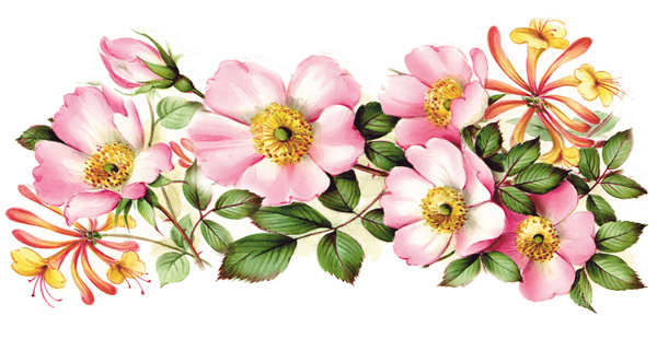 Kaprifol - mugg 9 x 19 cm