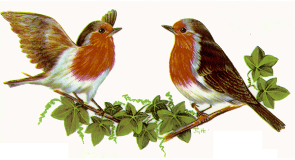 R�dhake - mugg 9 x 19 cm