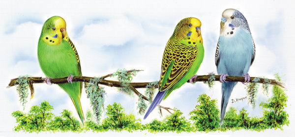 Undulat - mugg 9 x 19 cm