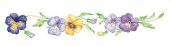 Penseer - 210x35 mm - 1 st