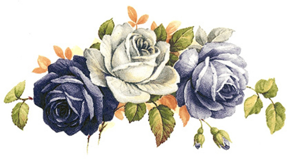 Bl�a rosor - 5 st.