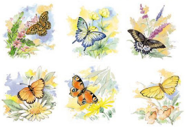 Fj�rilar - 50 mm - ark med 6 st