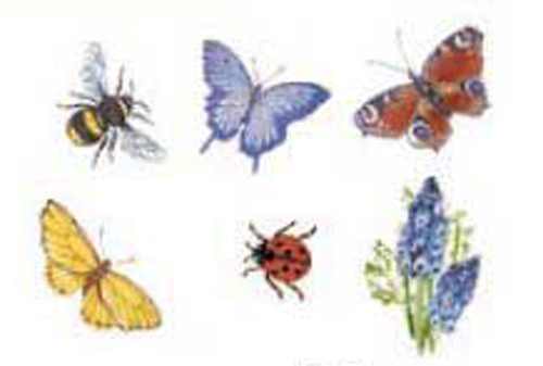 Insekter - 20 mm - set med 24 st