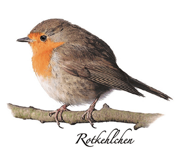 R�dhake 70 mm - 1 st. 