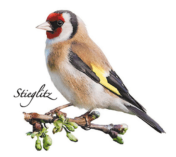 Goldfink 70 mm - 1 st. 