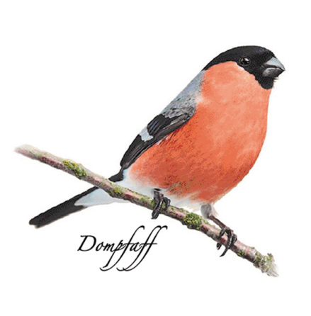 Domherre 70 mm - 1 st. 