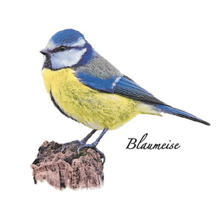 Bl�mes 70 mm - 1 st. 