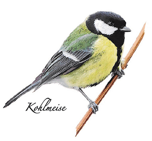 Kolmes 70 mm - 1 st. 