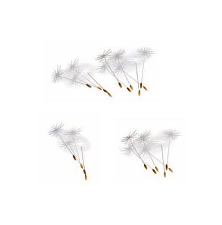 Maskros fr�n 30 mm - Ark med 15 st