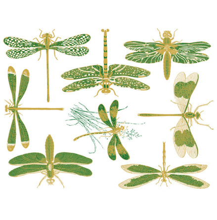 Trollsl�nda - Guld/turkos