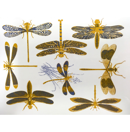 Trollsl�nda - Guld/bl�