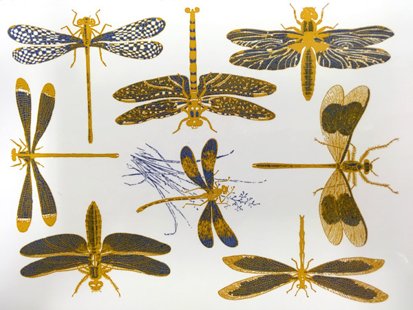 Trollsl�nda - Guld/bl�