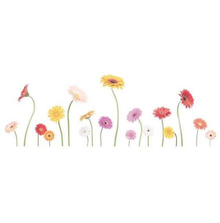 Gerbera - mugg 9 x 19 cm