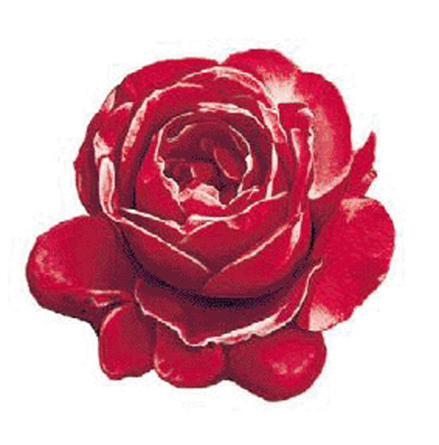 R�d Ros - 70 mm - 1 st. 