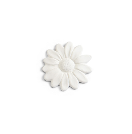 Pr�stkrage - 12 st