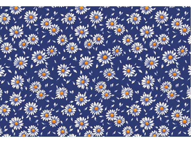 Blue Daisy 70x50cm