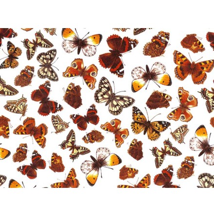 Fj�rilar I 70x50cm