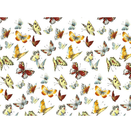 Fj�rilar II 70x50cm