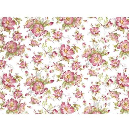 Spretande Ros 70x50cm