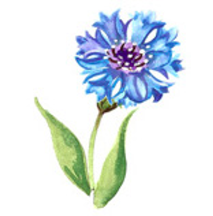 Bl�klint - 35 mm - 6 st.