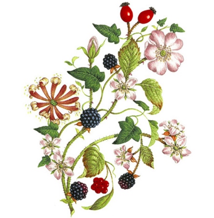 H�ck-ranka - 85 mm - 1 st.