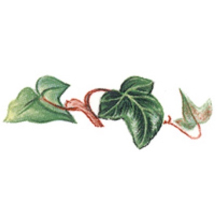 Murgr�na - 40 mm - 5 st.