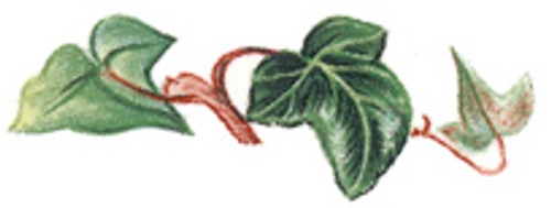 Murgr�na - 40 mm - 5 st.