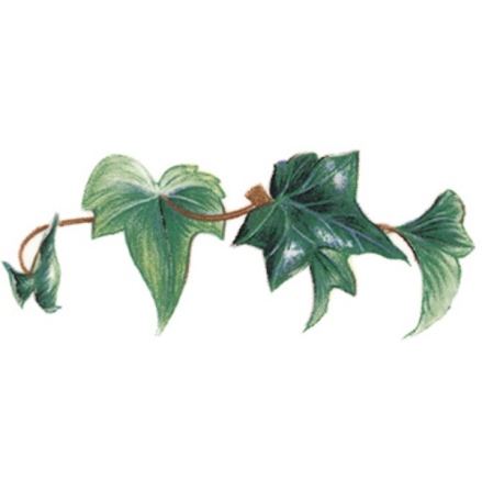 Murgr�na - 70 mm - 5 st.