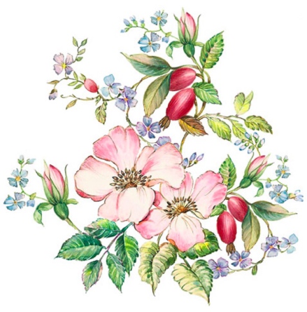 Nypon - 100 mm - 1 st.