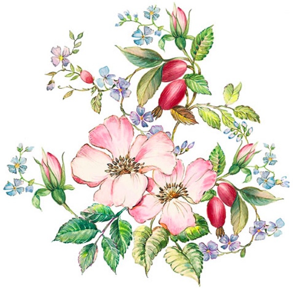 Nypon - 100 mm - 1 st.