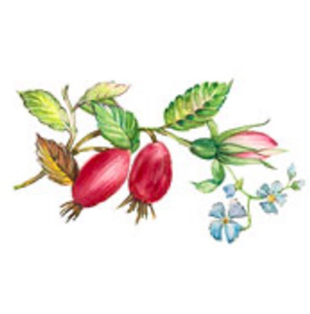 Nypon - 30 mm - 6 st.