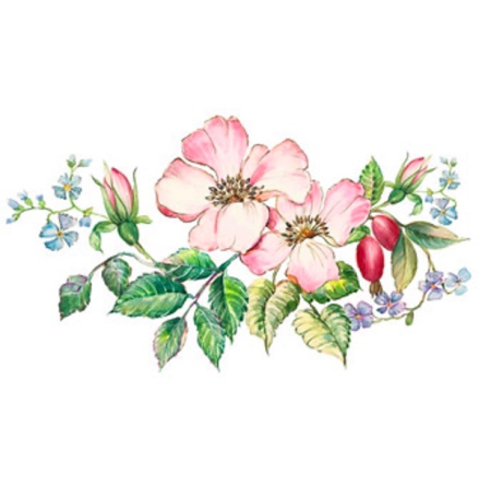 Nypon - 80 mm  - 2 st.