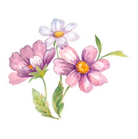 Pion - 37 mm - 5 st.