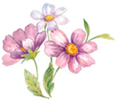 Pion - 37 mm - 5 st.