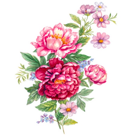 Pion - 75 mm - 2 st.