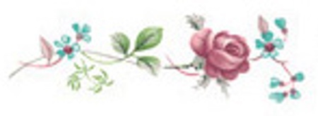 Ros b�rd 62 x 20 mm - 5 st.