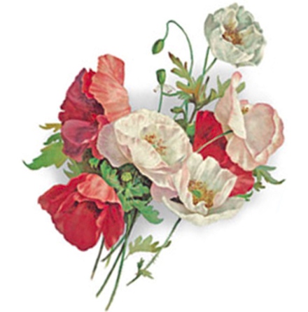 Vallmo bukett - 80 mm - 2 st.