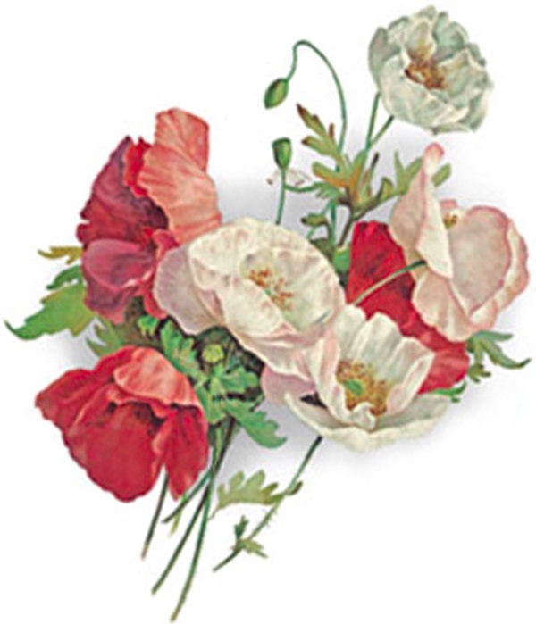 Vallmo bukett - 80 mm - 2 st.