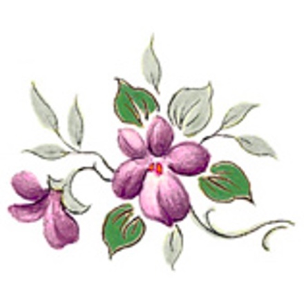 Viol - 25 mm - 5 st.