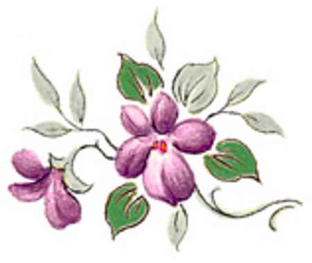 Viol - 25 mm - 5 st.