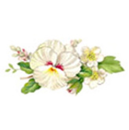 Vit blomsterprakt - 40 mm - 5 st.