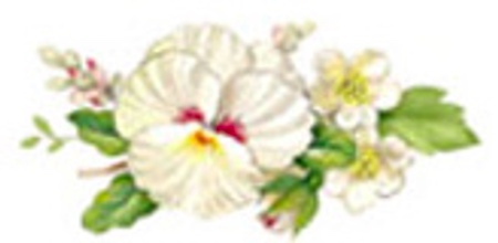 Vit blomsterprakt - 40 mm - 5 st.